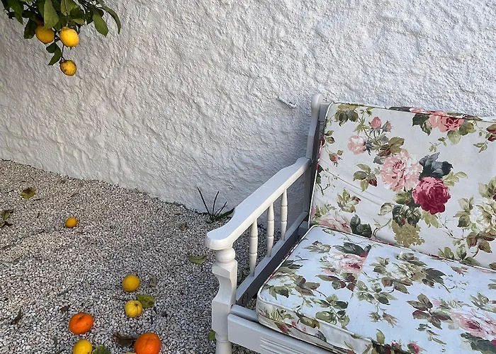 Oda ve Kahvaltı Selin 3*