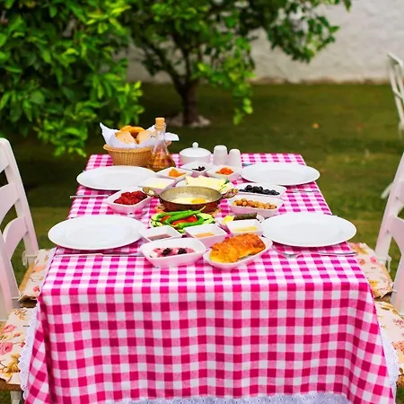 Selin 3* Αλακάτι